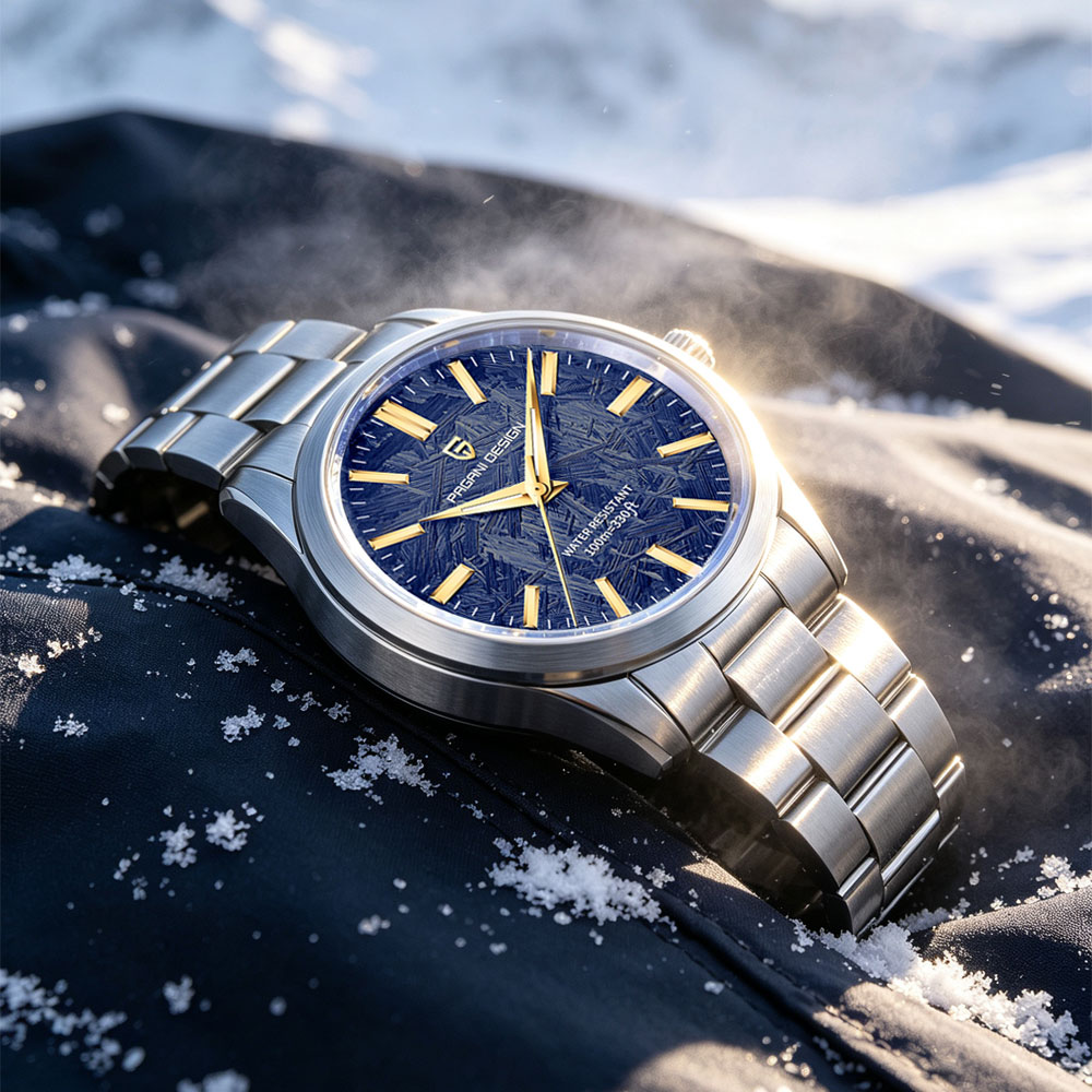 PAGANI DESIGN 40MM Men Quartz  - Jewellery Watch 评论和价格